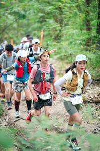 BIB: 
                            <button type="button" onclick="openModal(26865698)" class="btn btn-primary btn-sm float-right btn-popup" data-toggle="modal" data-target=".modal-high-quality">
                        <i class="fas fa-shopping-cart"></i> Add to Cart
                    </button>
                                            <button type="button" onclick="isThisMe(26865698, true)" class="btn btn-success btn-sm float-right btn-popup btn-isme hidden" data-toggle="tooltip" data-placement="bottom" title="นี่คือรูปของคุณใช่ไหม คลิกที่นี่เพื่อเอาเข้าอัลบั้ม">
                        <i class="fas fa-plus"></i> Add to album
                    </button>
                    <button type="button" onclick="isThisMe(26865698, false)" class="btn btn-warning btn-sm float-right btn-popup btn-isnotme hidden">
                        <i class="fas fa-ban"></i> Remove from album
                    </button>